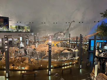 福井県立恐竜博物館に投稿された画像（2026/6/4）