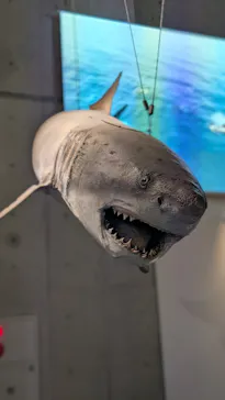 特別展「超危険生物展　科学で挑む生き物の本気」に投稿された画像（2026/6/4）