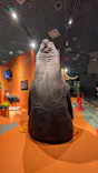 特別展「超危険生物展　科学で挑む生き物の本気」に投稿された画像（2026/6/4）