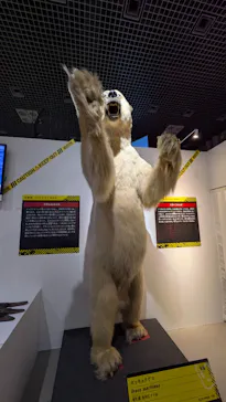 特別展「超危険生物展　科学で挑む生き物の本気」に投稿された画像（2026/6/4）