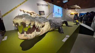 特別展「超危険生物展　科学で挑む生き物の本気」に投稿された画像（2026/6/4）