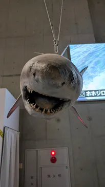特別展「超危険生物展　科学で挑む生き物の本気」に投稿された画像（2026/6/4）
