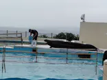 沖縄美ら海水族館に投稿された画像（2026/6/5）