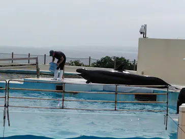 沖縄美ら海水族館に投稿された画像（2026/6/4）