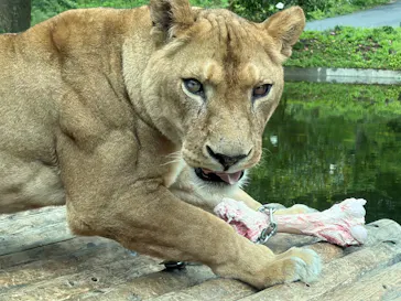 多摩動物公園に投稿された画像（2026/6/5）