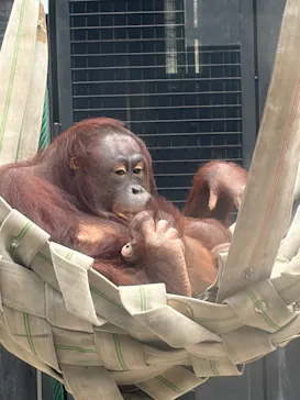 多摩動物公園に投稿された画像（2026/6/5）