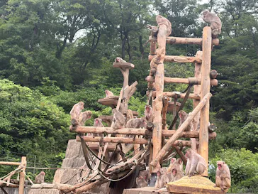 多摩動物公園に投稿された画像（2026/6/5）