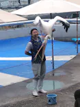 大分マリーンパレス水族館 「うみたまご」に投稿された画像（2026/6/5）
