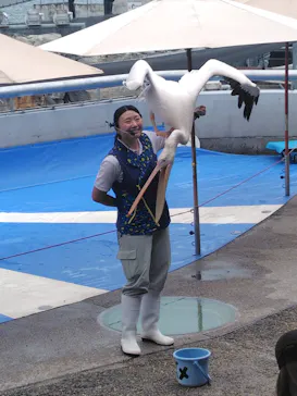 大分マリーンパレス水族館 「うみたまご」に投稿された画像（2026/6/5）