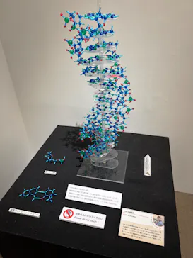 国立科学博物館に投稿された画像（2026/6/5）