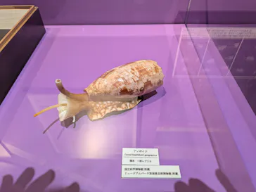 特別展「超危険生物展　科学で挑む生き物の本気」に投稿された画像（2026/6/5）