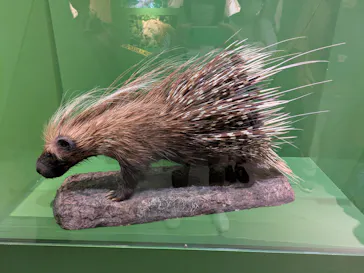 特別展「超危険生物展　科学で挑む生き物の本気」に投稿された画像（2026/6/5）