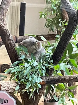 名古屋市東山動植物園に投稿された画像（2026/6/5）