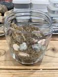 Terrariums 渋谷ヒカリエ店に投稿された画像（2026/6/5）