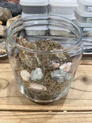 Terrariums 渋谷ヒカリエ店に投稿された画像（2026/6/5）