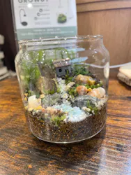 Terrariums 渋谷ヒカリエ店に投稿された画像（2026/6/5）