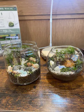 Terrariums 渋谷ヒカリエ店に投稿された画像（2026/6/5）