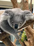 こども動物自然公園（埼玉県公園緑地協会）に投稿された画像（2026/6/5）