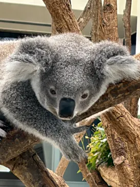 こども動物自然公園（埼玉県公園緑地協会）に投稿された画像（2026/6/5）