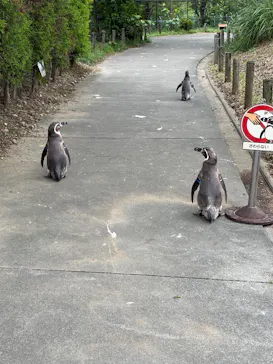 こども動物自然公園（埼玉県公園緑地協会）に投稿された画像（2026/6/5）