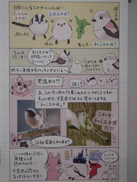 特別展「鳥 ～ゲノム解析が解き明かす新しい鳥類の系統～」に投稿された画像（2026/6/5）