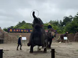 ANIMAL WONDER REZOURT 市原ぞうの国・サユリワールドに投稿された画像（2026/6/5）