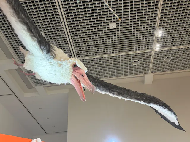 ギアマン、鳥のいる樹、レゾネより、希少、版上サイン、新品額装 特別展「鳥 ～ゲノム解析が解き明かす新しい鳥類の系統～」の口コミ