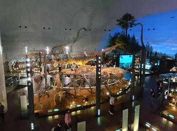 福井県立恐竜博物館に投稿された画像（2026/6/5）