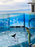 新江ノ島水族館に投稿された画像（2026/6/5）