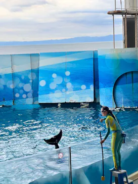 新江ノ島水族館に投稿された画像（2026/6/5）