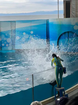 新江ノ島水族館に投稿された画像（2026/6/5）