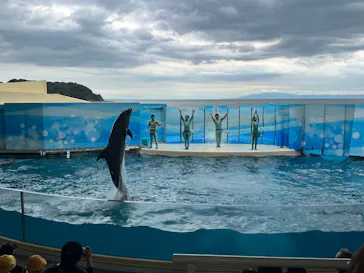 新江ノ島水族館に投稿された画像（2026/6/5）