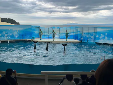 新江ノ島水族館に投稿された画像（2026/6/5）