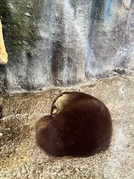 新江ノ島水族館に投稿された画像（2026/6/5）