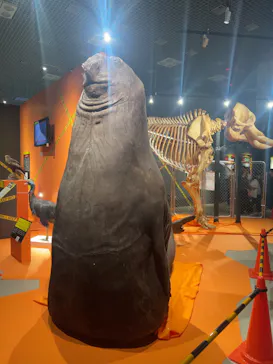 特別展「超危険生物展　科学で挑む生き物の本気」に投稿された画像（2026/6/5）