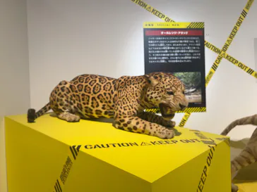特別展「超危険生物展　科学で挑む生き物の本気」に投稿された画像（2026/6/5）