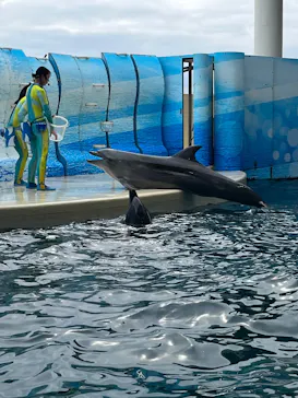 新江ノ島水族館に投稿された画像（2026/6/5）