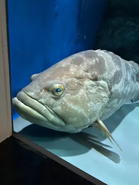 名古屋港水族館に投稿された画像（2026/6/6）