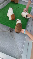 あらかわ遊園に投稿された画像（2026/6/6）