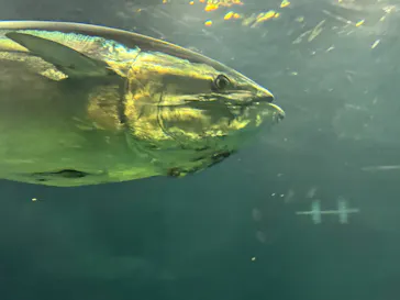 葛西臨海水族園に投稿された画像（2026/6/6）