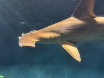 葛西臨海水族園に投稿された画像（2026/6/6）