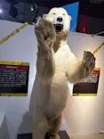 特別展「超危険生物展　科学で挑む生き物の本気」に投稿された画像（2026/6/6）