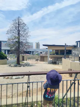 天王寺動物園に投稿された画像（2026/6/6）
