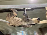 宇都宮動物園に投稿された画像（2026/6/6）