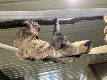 宇都宮動物園に投稿された画像（2026/6/6）