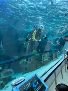 名古屋港水族館に投稿された画像（2026/6/6）