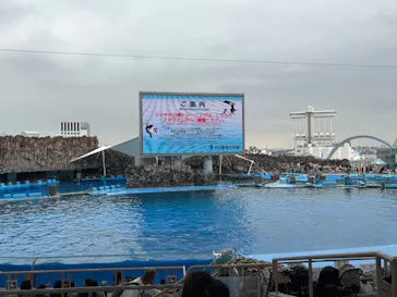 名古屋港水族館に投稿された画像（2026/6/6）