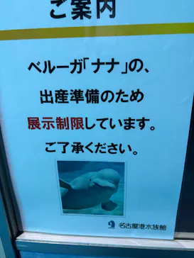 名古屋港水族館に投稿された画像（2026/6/6）