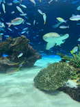 サンシャイン水族館に投稿された画像（2026/6/6）