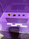 特別展「超危険生物展　科学で挑む生き物の本気」に投稿された画像（2026/6/6）